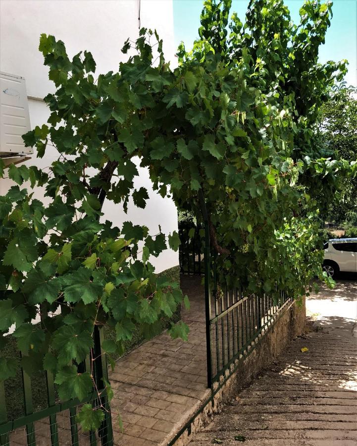 Alojamientos Loma De Mariangela 科托里奥斯 外观 照片
