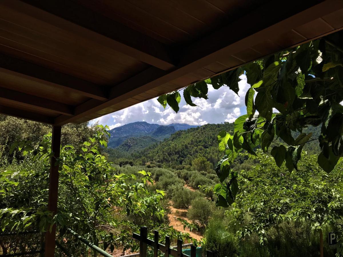 Alojamientos Loma De Mariangela 科托里奥斯 外观 照片