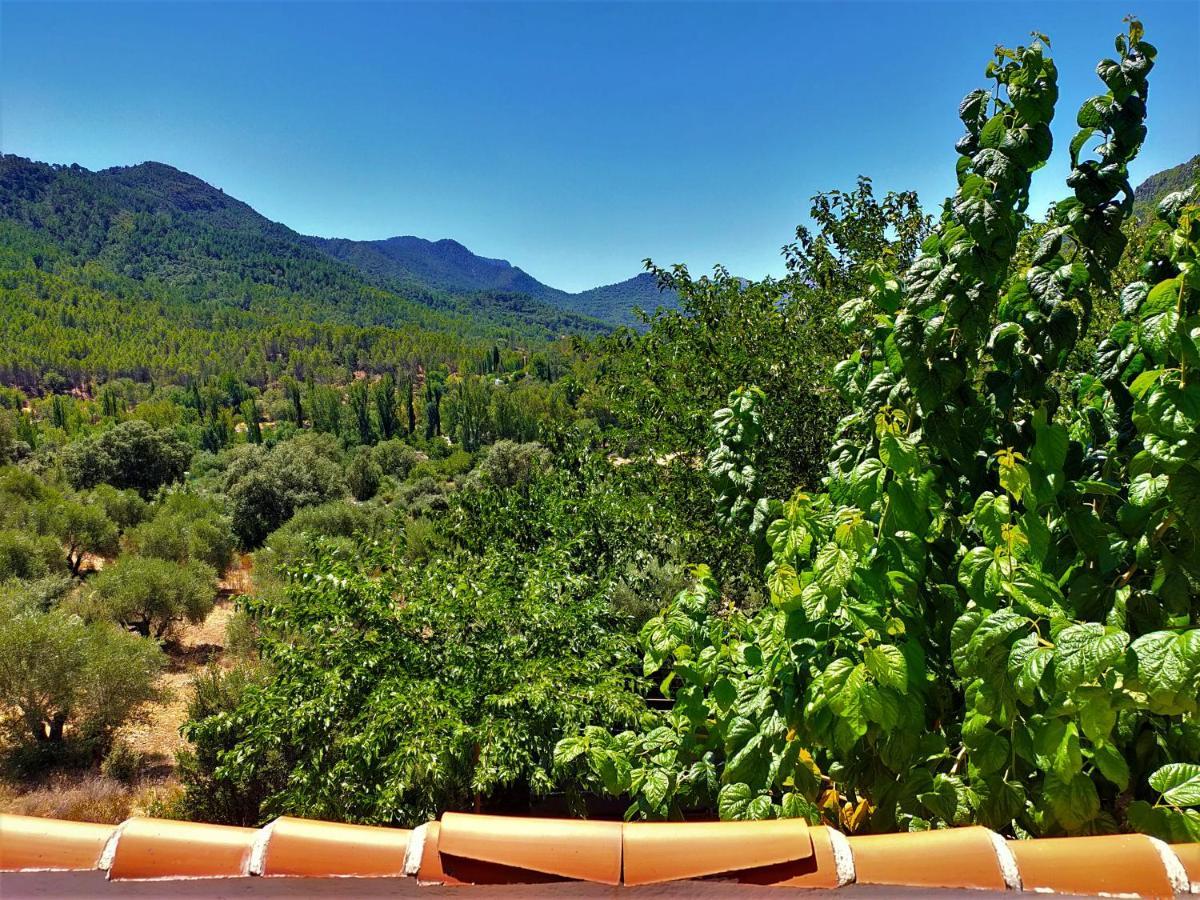 Alojamientos Loma De Mariangela 科托里奥斯 外观 照片